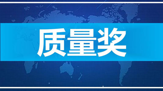 宿州市人民政府质量奖