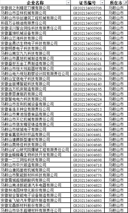 马鞍山市高新技术企业名单